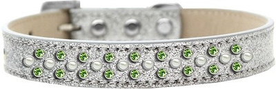 

Mirage Pet Products Dog Everyday Collar(, Silver