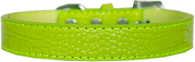 

Mirage Pet Products Dog Everyday Collar(, Lime Green