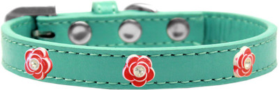

Mirage Pet Products Dog Everyday Collar(, Aqua