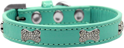 

Mirage Pet Products Dog Everyday Collar(, Aqua