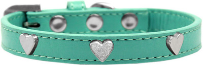 

Mirage Pet Products Dog Everyday Collar(, Aqua