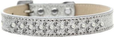

Mirage Pet Products Dog Everyday Collar(, Silver