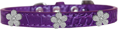

Mirage Pet Products Dog Everyday Collar(, Purple