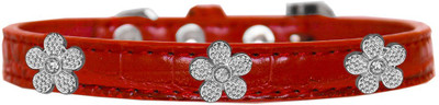 

Mirage Pet Products Dog Everyday Collar(, Red