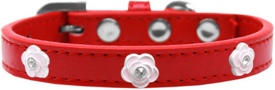 

Mirage Pet Products Dog Everyday Collar(, Red