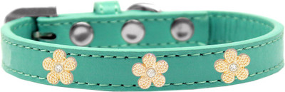 

Mirage Pet Products Dog Everyday Collar(, Aqua
