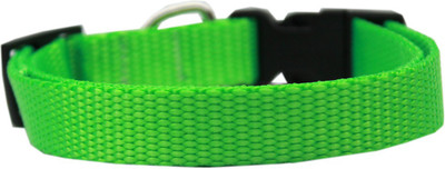 

Mirage Pet Products Dog Everyday Collar(, Lime Green