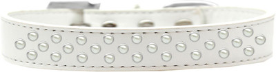 

Mirage Pet Products Dog Everyday Collar(, White