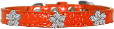 

Mirage Pet Products Dog Everyday Collar(, Orange