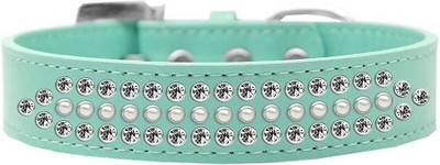 

Mirage Pet Products Dog Everyday Collar(, Aqua