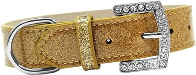 

Mirage Pet Products Dog Everyday Collar(, Gold