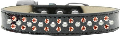 

Mirage Pet Products Dog Everyday Collar(, Black