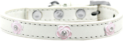 

Mirage Pet Products Dog Everyday Collar(, White