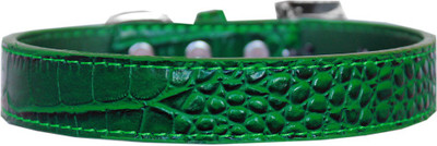 

Mirage Pet Products Dog Everyday Collar(, Emerald Green