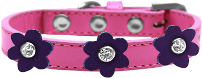 

Mirage Pet Products Dog Everyday Collar(, Purple
