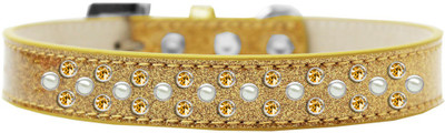 

Mirage Pet Products Dog Everyday Collar(, Gold