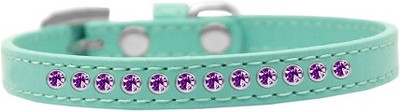 

Mirage Pet Products Dog Everyday Collar(, Purple