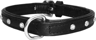 

Petshop7 Padded Leather Dog Collar with Studd 0.75" in -  (Neck Girth - 14.5-16.5 inch) (Black) Dog Everyday Collar(, Black