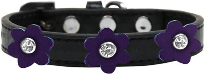 

Mirage Pet Products Dog Everyday Collar(, Purple