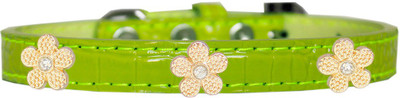 

Mirage Pet Products Dog Everyday Collar(, Lime Green