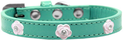 

Mirage Pet Products Dog Everyday Collar(, Aqua