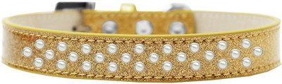 

Mirage Pet Products Dog Everyday Collar(, Gold