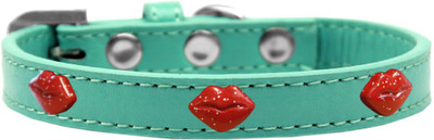 

Mirage Pet Products Dog Everyday Collar(, Aqua