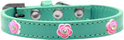 

Mirage Pet Products Dog Everyday Collar(, Aqua