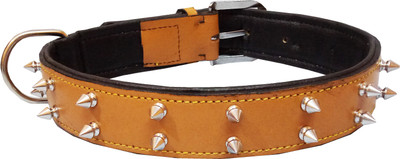 

Petshop7 Export Quality Genuine Leather Dog Collar with Spiked Studs 1.50" in - Xtra Large (Any One) (Black) Dog Everyday Collar(, Beige
