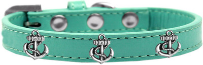 

Mirage Pet Products Dog Everyday Collar(, Aqua