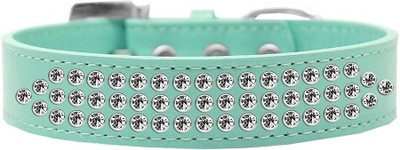

Mirage Pet Products Dog Everyday Collar(, Aqua