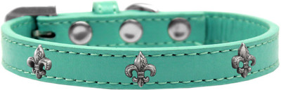 

Mirage Pet Products Dog Everyday Collar(, Aqua