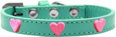 

Mirage Pet Products Dog Everyday Collar(, Aqua