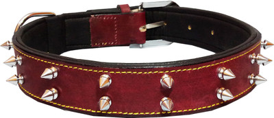 

Petshop7 Export Quality Genuine Leather Dog Collar with Spiked Studs 1.50" in - Xtra Large (Any One) (Black) Dog Everyday Collar(, Maroon
