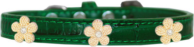 

Mirage Pet Products Dog Everyday Collar(, Emerald Green