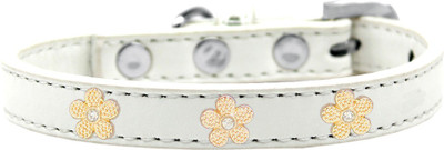 

Mirage Pet Products Dog Everyday Collar(, White