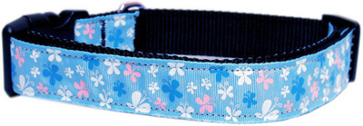 

Mirage Pet Products Dog Everyday Collar(, Blue