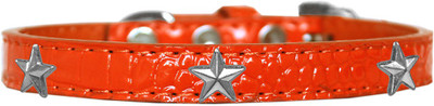 

Mirage Pet Products Dog Everyday Collar(, Orange