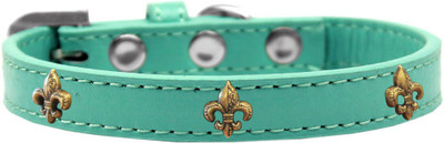

Mirage Pet Products Dog Everyday Collar(, Aqua
