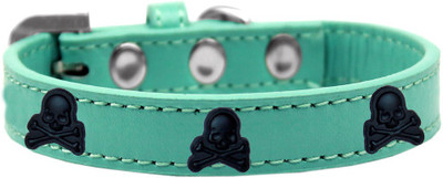 

Mirage Pet Products Dog Everyday Collar(, Aqua
