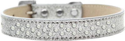 

Mirage Pet Products Dog Everyday Collar(, Silver
