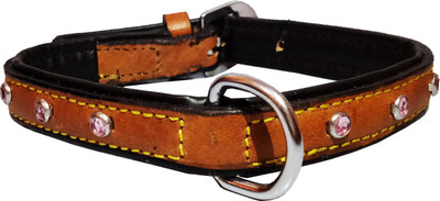 

Petshop7 Padded Leather Dog Collar with Studd 0.75" in -  (Neck Girth - 14.5-16.5 inch) (Black) Dog Everyday Collar(, Beige
