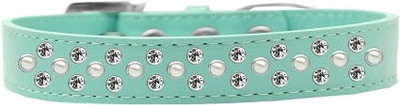 

Mirage Pet Products Dog Everyday Collar(, Aqua