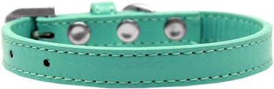 

Mirage Pet Products Dog Everyday Collar(, Aqua