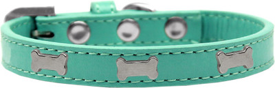 

Mirage Pet Products Dog Everyday Collar(, Aqua