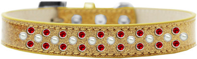 

Mirage Pet Products Dog Everyday Collar(, Gold