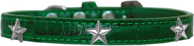 

Mirage Pet Products Dog Everyday Collar(, Emerald Green