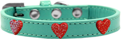 

Mirage Pet Products Dog Everyday Collar(, Aqua