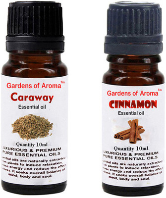 

Gardens Of Aroma Caraway Essential Oil And Cinnamon Essential Oil(20 ml)