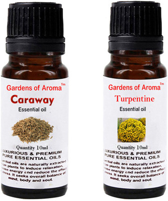 

Gardens Of Aroma Caraway Essential Oil And Turpentine Essential Oil(20 ml)